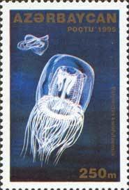 File:Stamp of Azerbaijan - 1995 - Colnect 288049 - Hydromedusa Polyorchis karafutoensis.jpeg