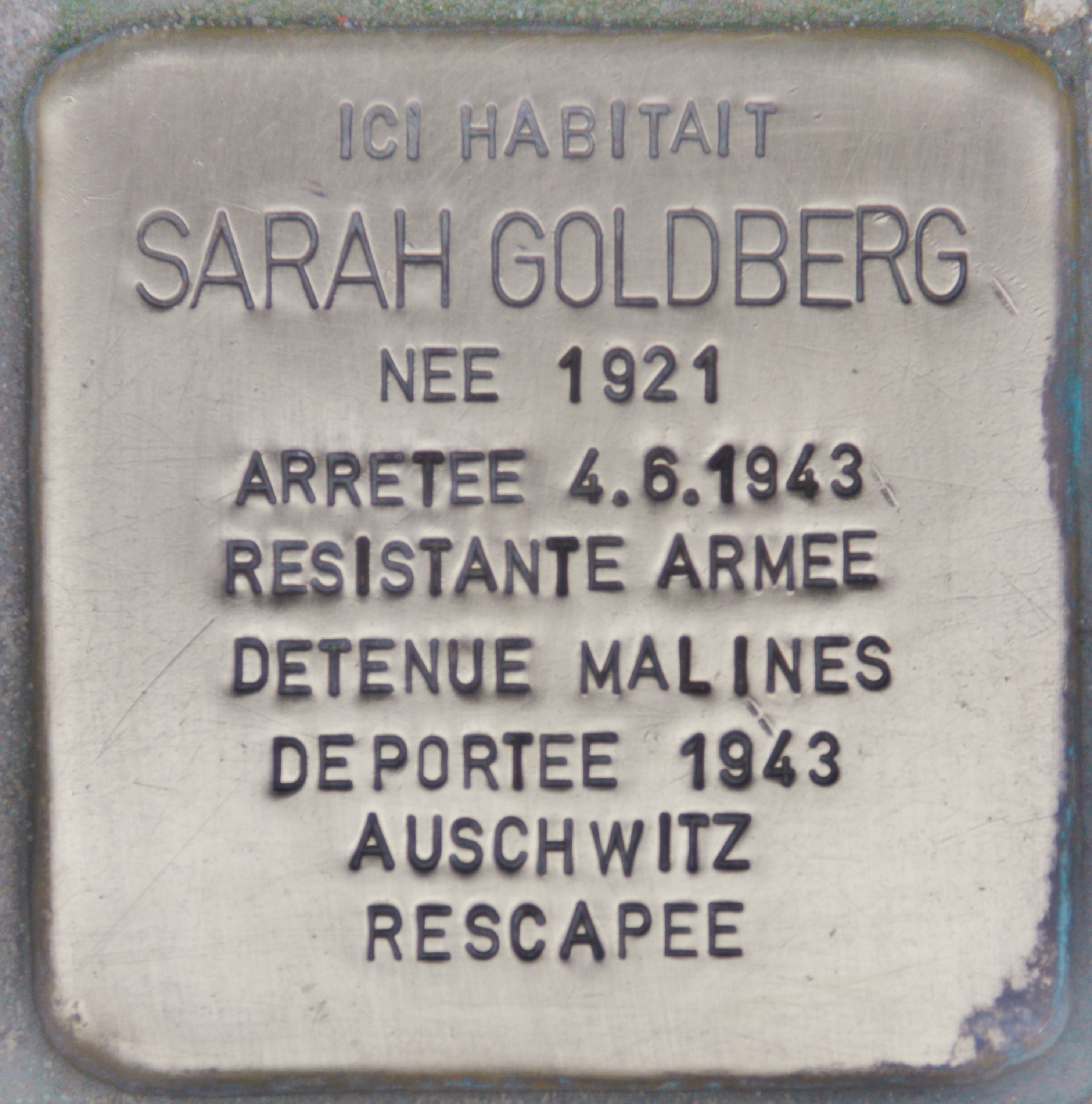 Sarah goldberg wikipedia