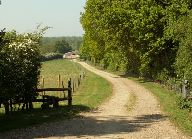 The approach to Drumochter Farm at Wickham Bishops - geograph.org.uk - 803406