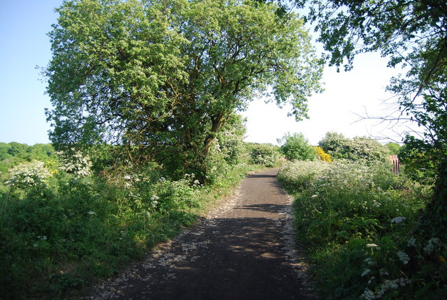 The old railway north of the Larpool Viaduct - geograph.org.uk - 1919051