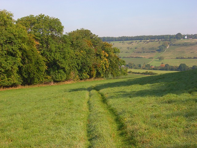 Woodland and farmland, Turville - geograph.org.uk - 995739