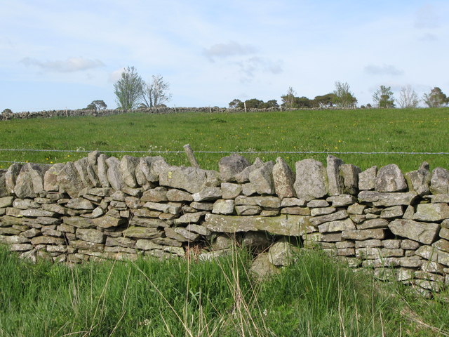 File:(Blocked up) sheephole in a drystone wall near High Scotch Hall - geograph.org.uk - 822095.jpg