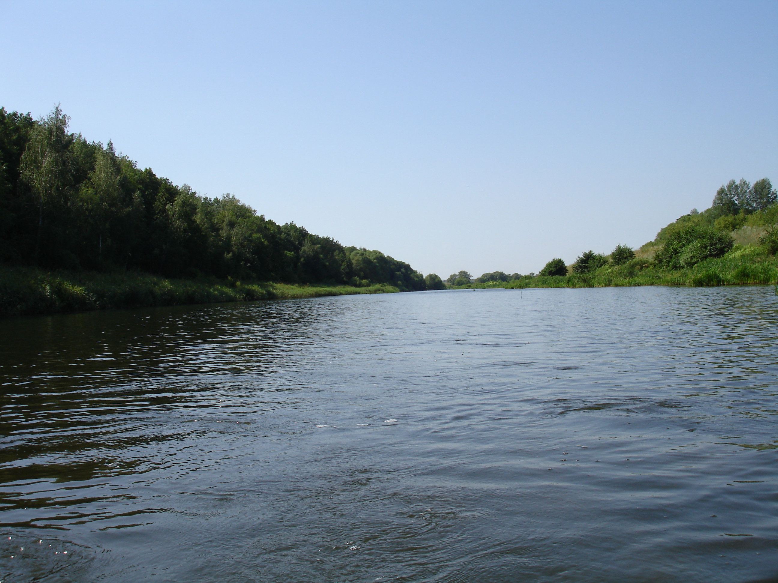 Деревня сосново. Рыбалка Прокшино река Сосенка. Остров на Оке Сосновка. Село Сосновка река Курга фото. Река в Чехове около села Попово.