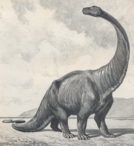 Gigantosaurus – Wikipedie