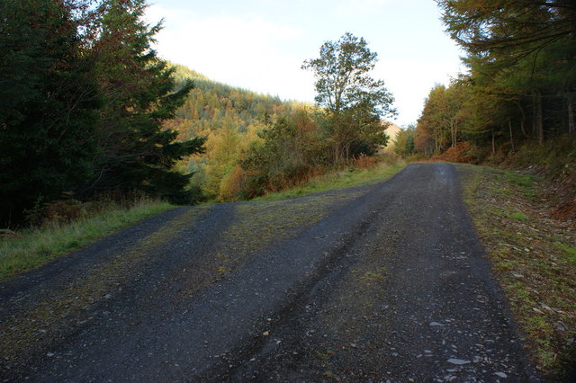 File:A fork in the track - geograph.org.uk - 1540294.jpg