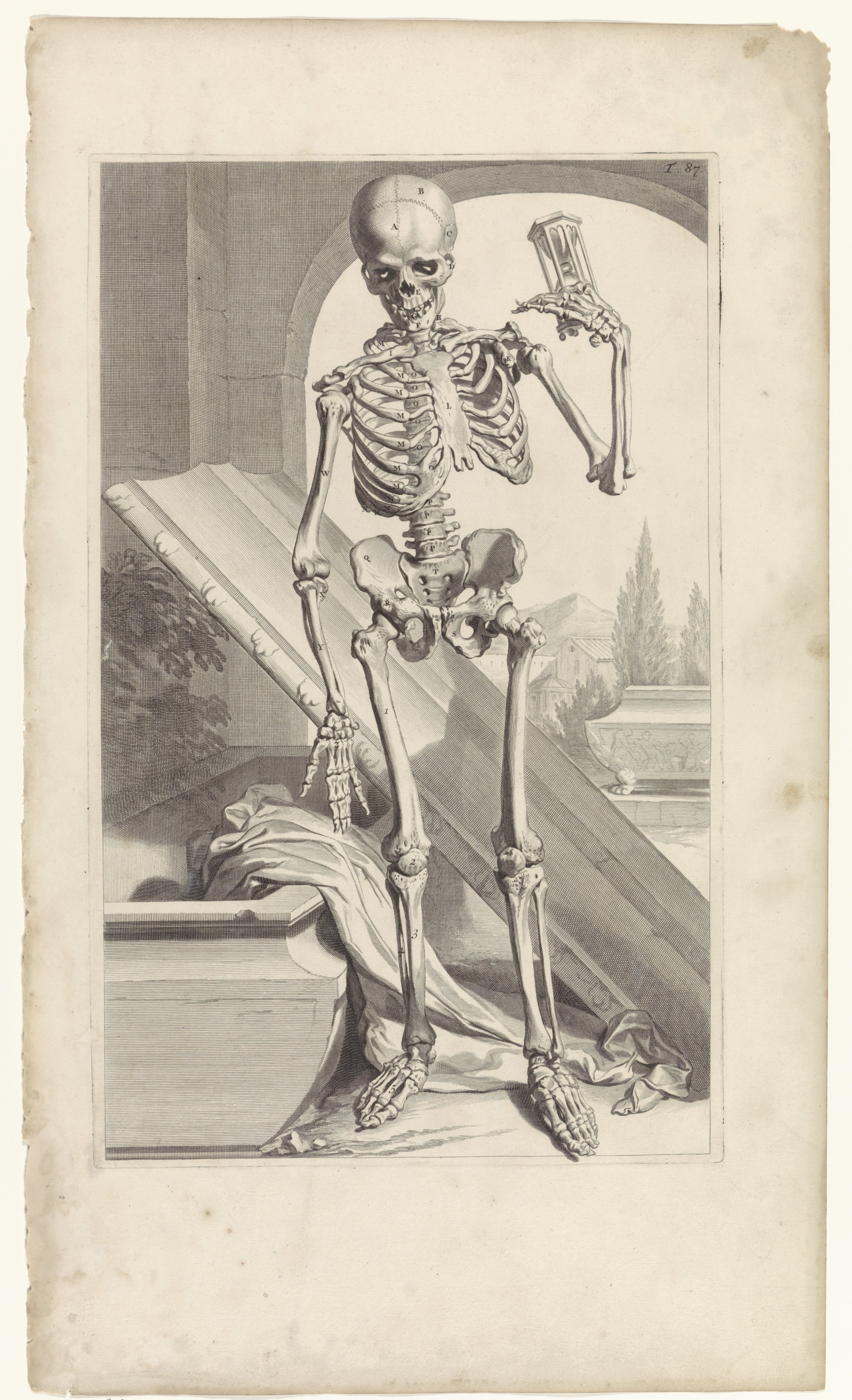 Homo sum humani nihil me alienum. Жерар де Лересс анатомия. Momento Mori скелет и смерть. Anatomia Humani corporis Говерта Бидлоо.