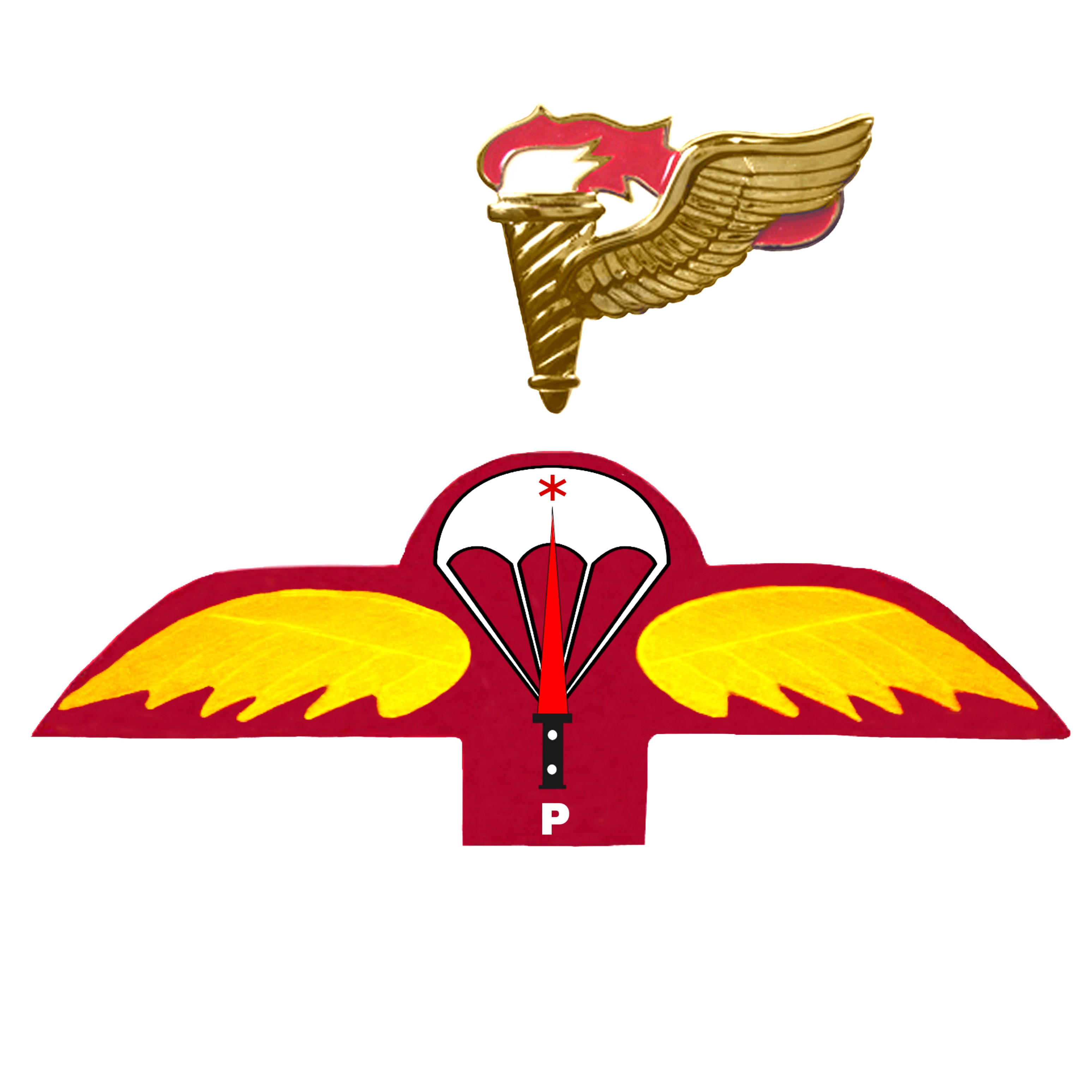 army commando badge