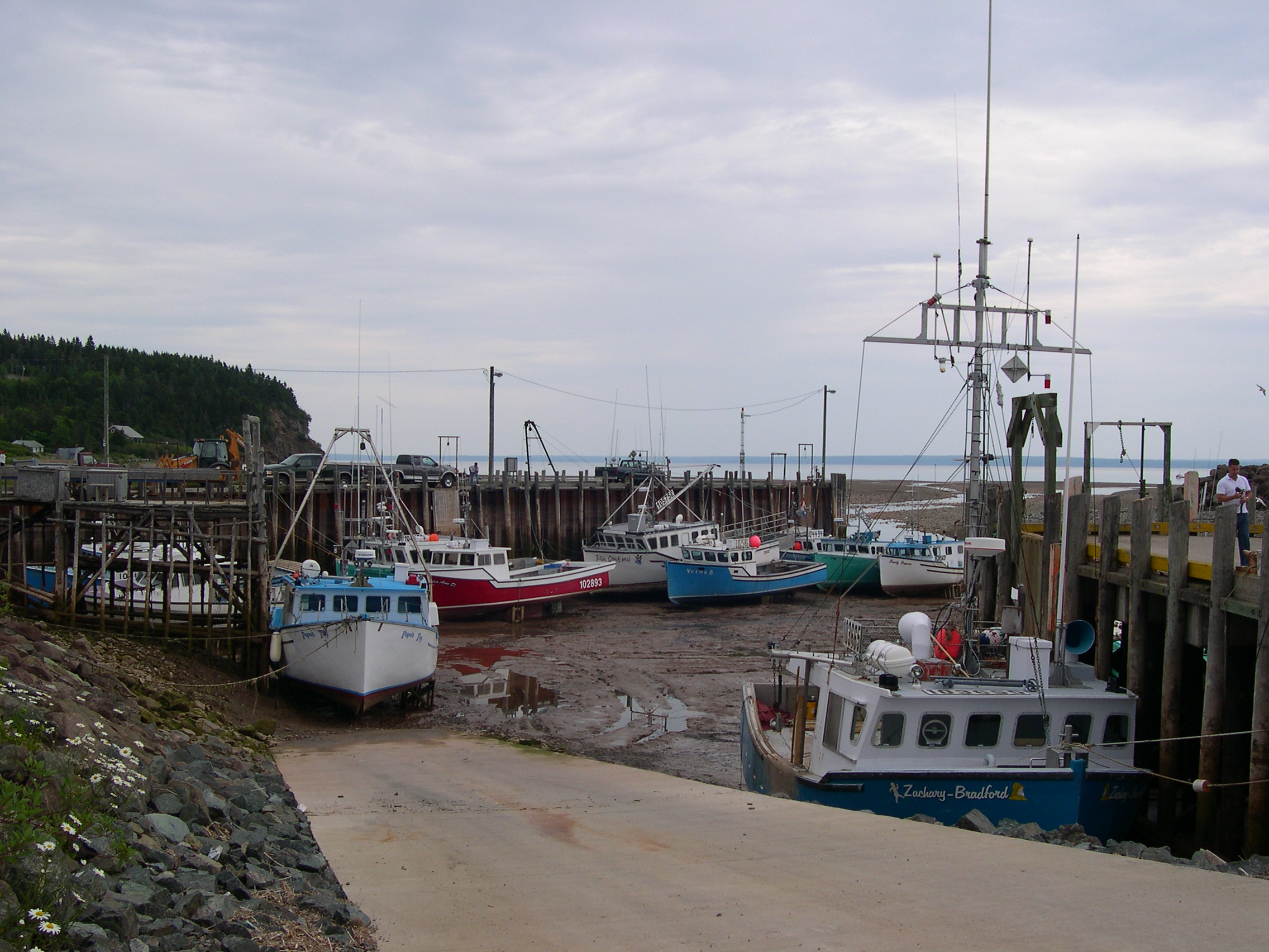 File:Bay of Fundy - Tide Out.jpg - Wikimedia Commons