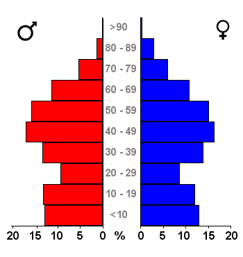 File:Bevolkingspiramide - Gemeente Buren (2007).png