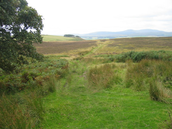 File:Bridleway to Old Bewick - geograph.org.uk - 1506564.jpg