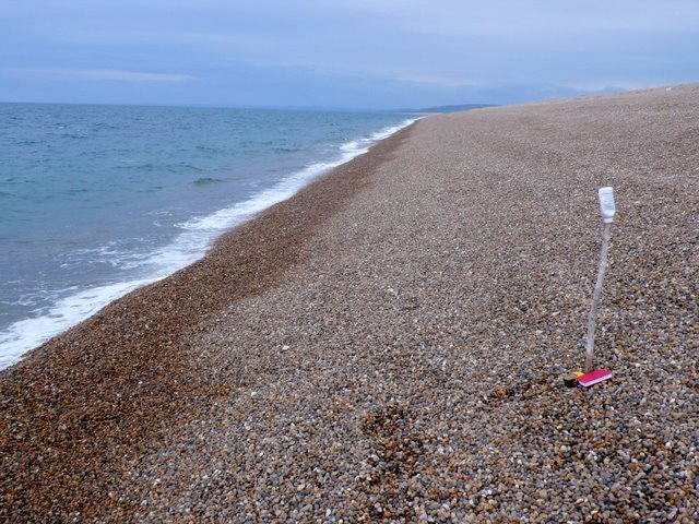 File:Chesil Beach - geograph.org.uk - 1286328.jpg