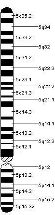 hromnozom 5 sa mapiranim genskim lokusima