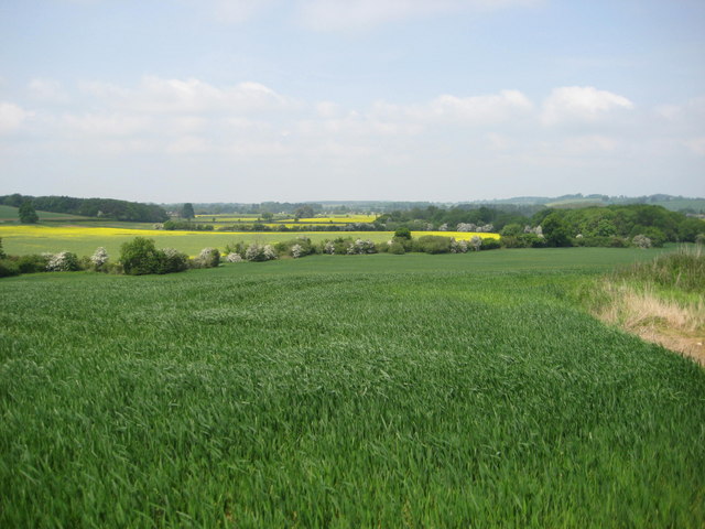 Danesmoor (site of the Battle of Edgcote) - geograph.org.uk - 815349