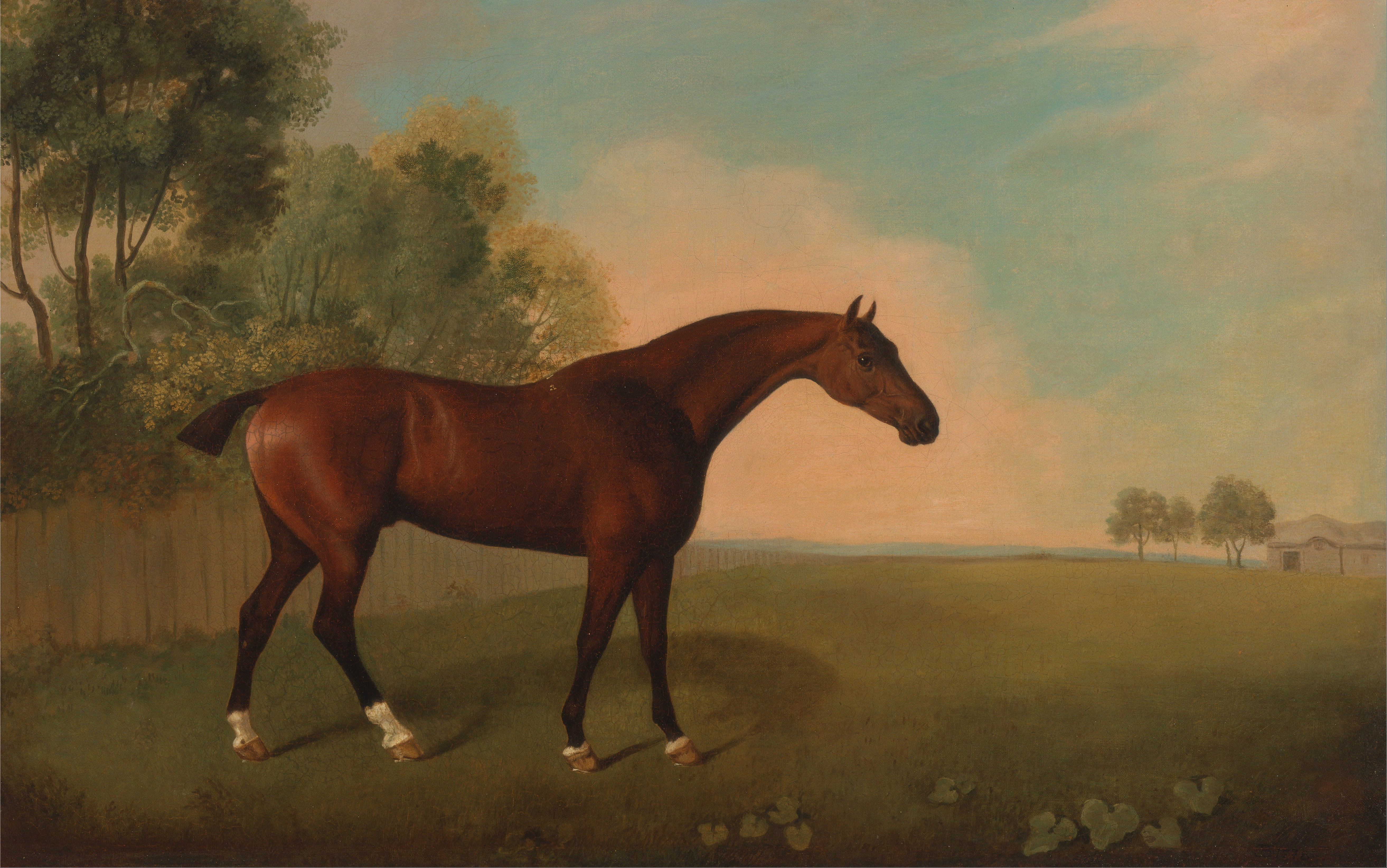 File John Boultbee A Bay Horse In A Field Google Art Project Jpg Wikimedia Commons