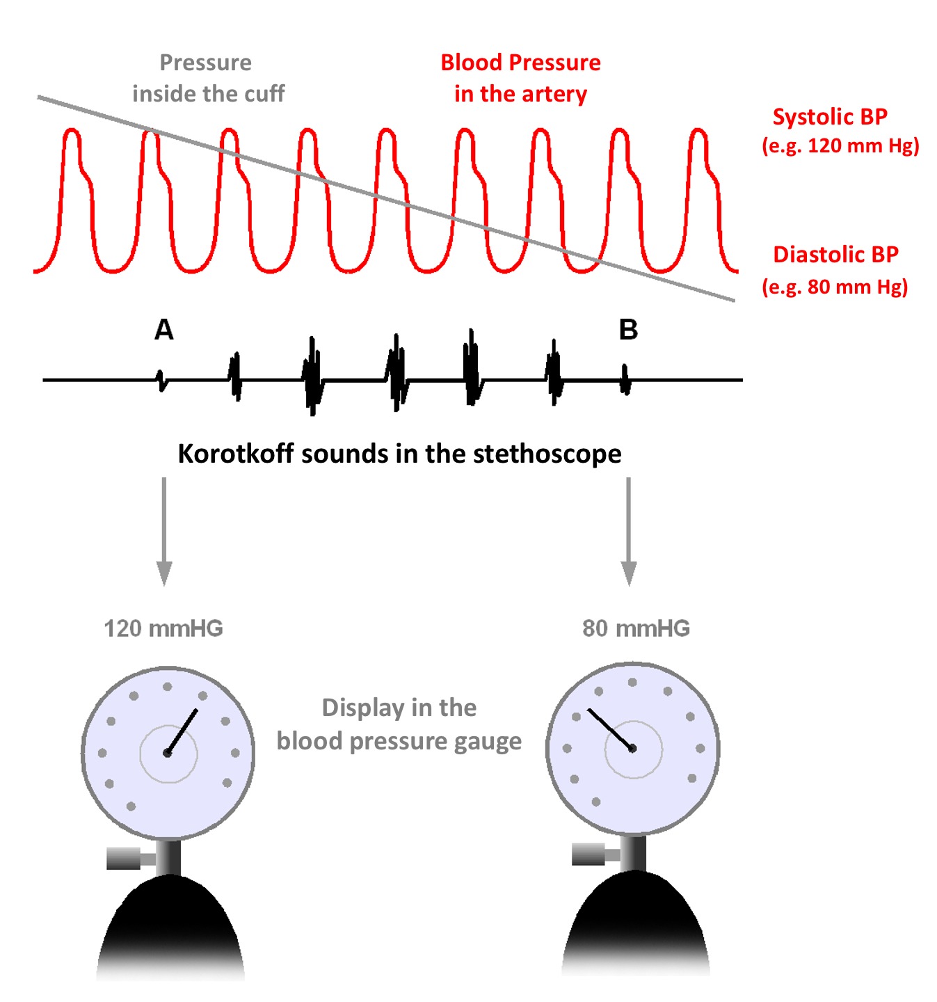 How to measure children's blood pressure the right way