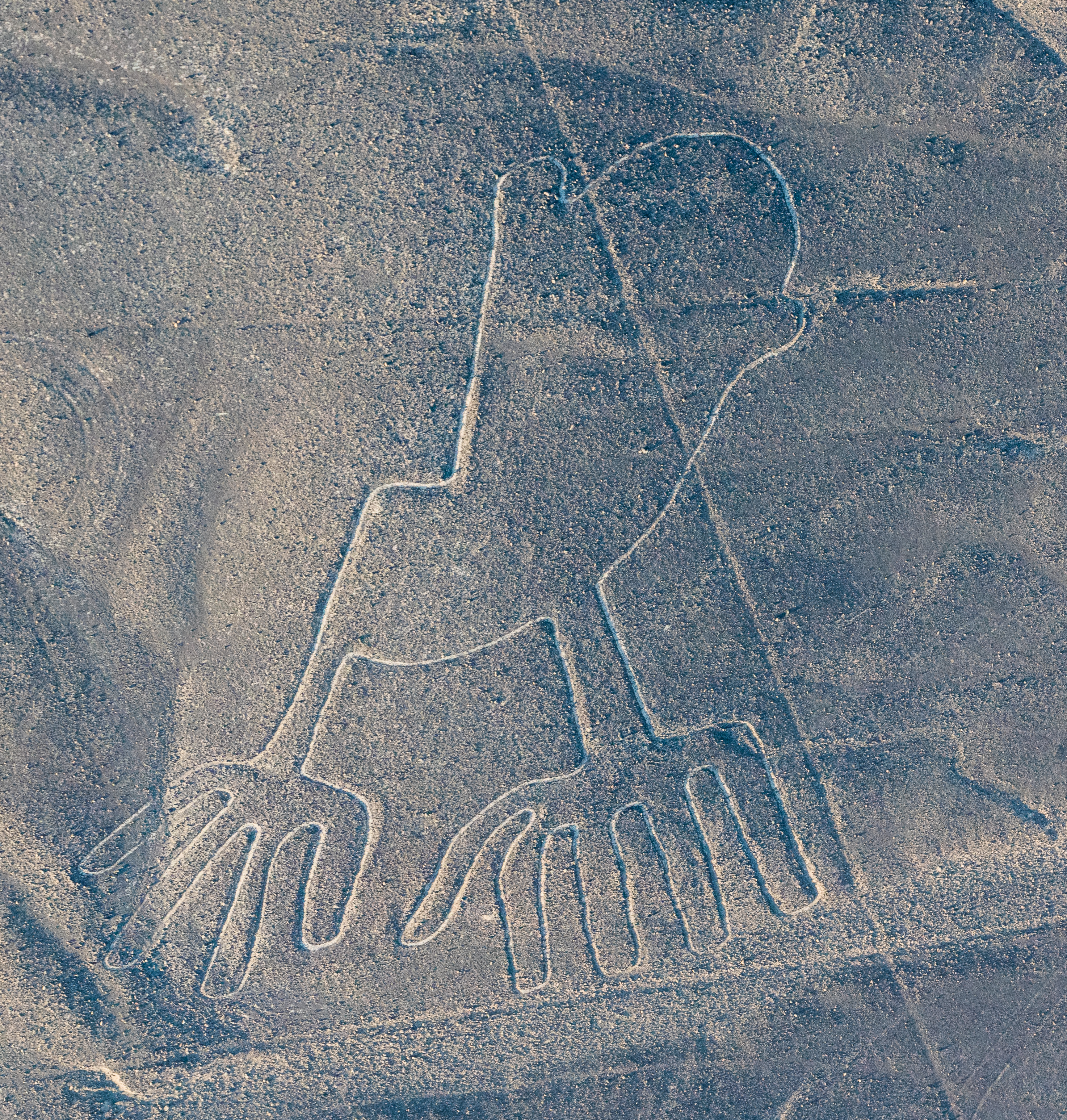 Líneas de Nazca, Nazca, Perú, 2015-07-29, DD 62.JPG