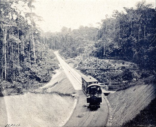 File:La tranchee du Camp du Tigre. Chemin de fer Saint-Laurent a Saint-Jean-du-Maroni (Administration penitentiaire).jpg