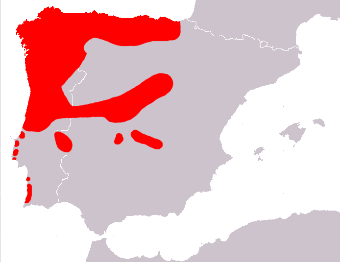 File:Mapa Lacerta schreiberi.png