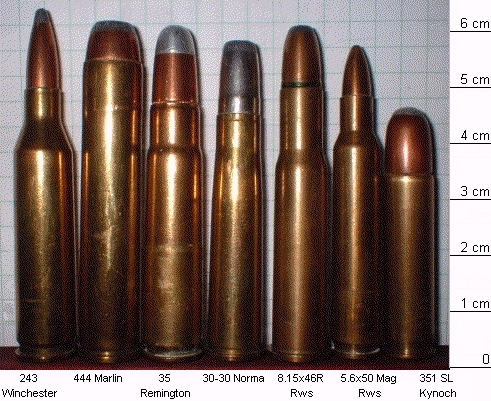 Cartridge Showdown: .30/30 Winchester vs. .35 Remington