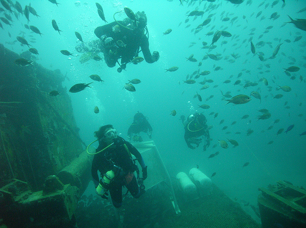 File:NEEMO 15 training - divers and fish.jpeg