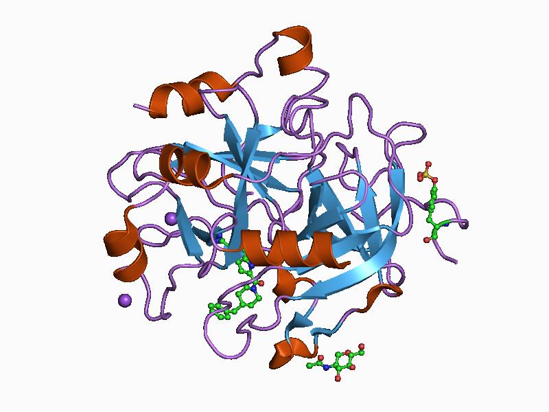 File:PDB 1d4p EBI.jpg