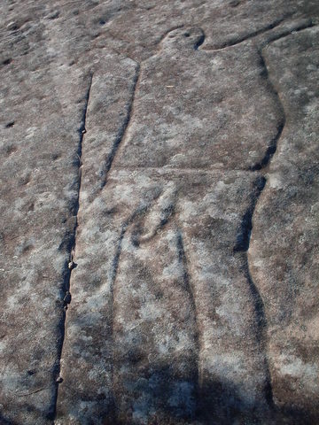 File:Petroglyph - well endowed.JPG