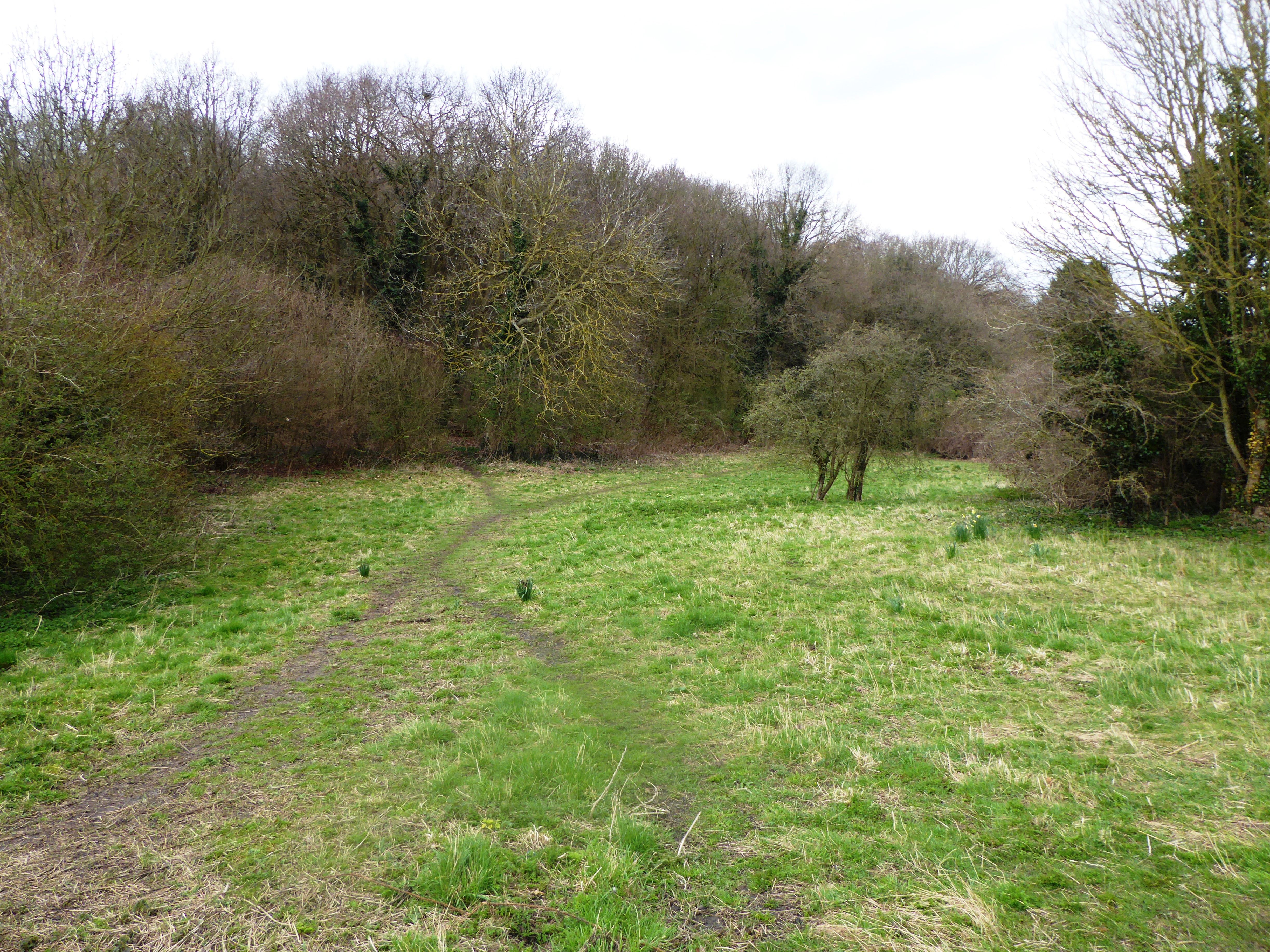 Rectory Meadow