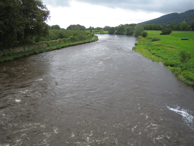 River Suir near Ferryhouse - geograph.org.uk - 264664