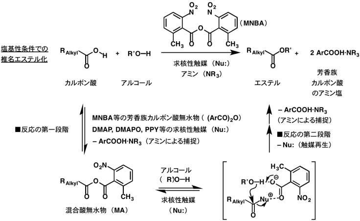 File Shiina Esterification 2 Gif Gif Wikimedia Commons