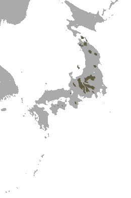 File:Shinto Shrew area.png