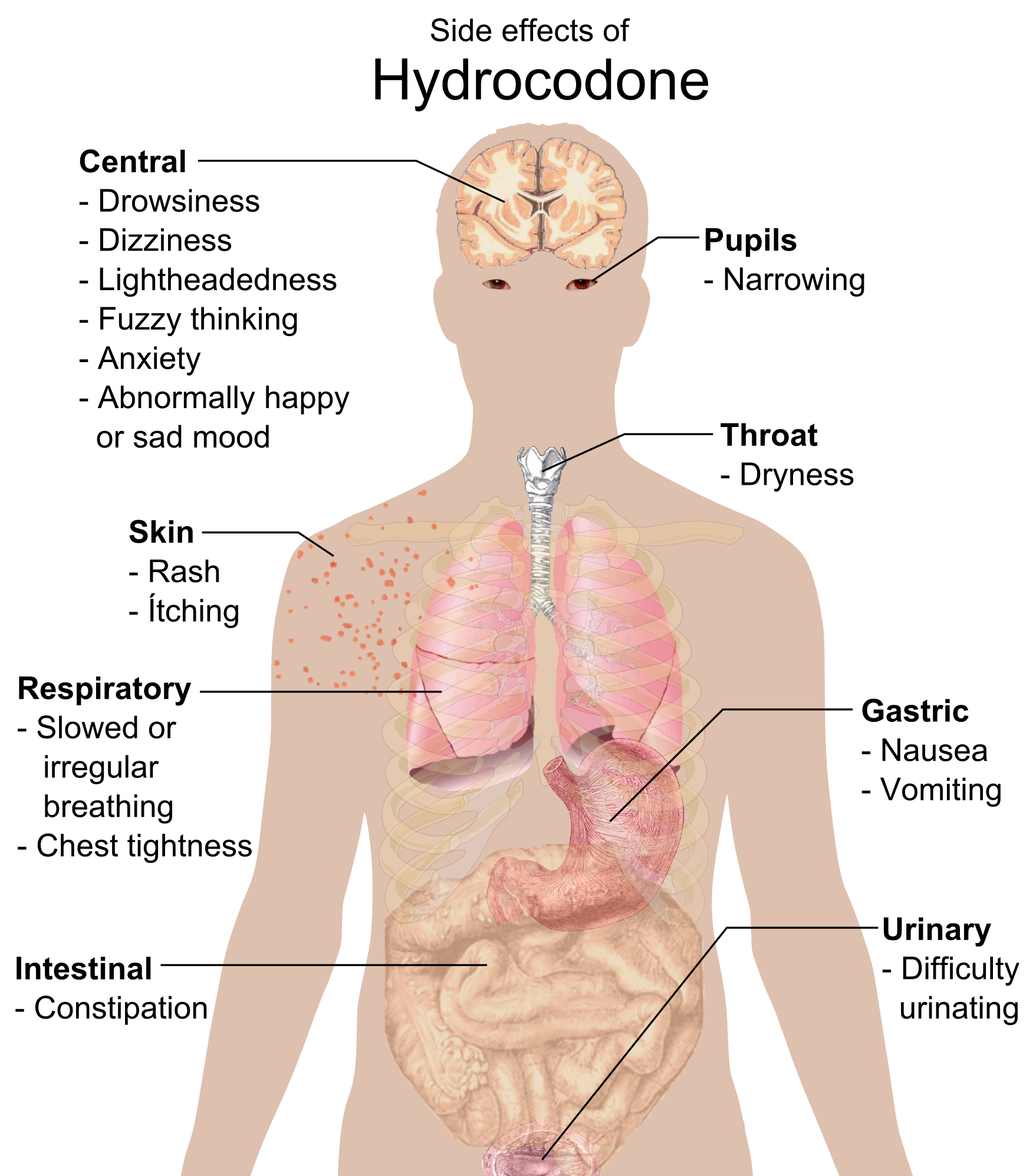 effects of 5mg oxycontin