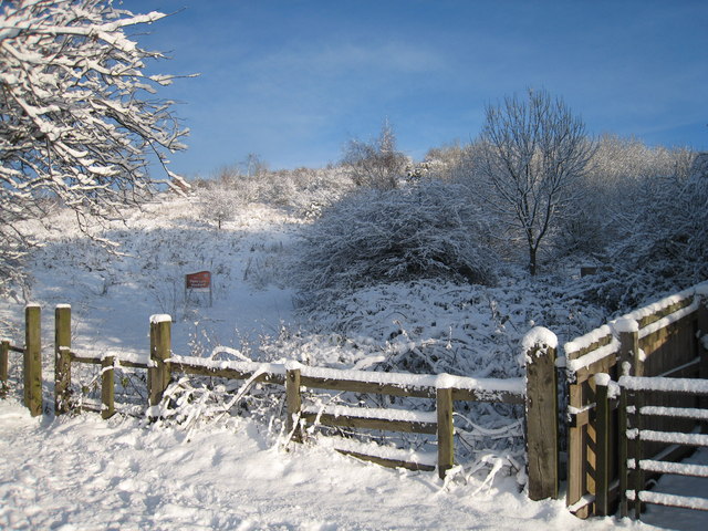 Snow at Flatts Lane Woodland Country Park - geograph.org.uk - 1627679