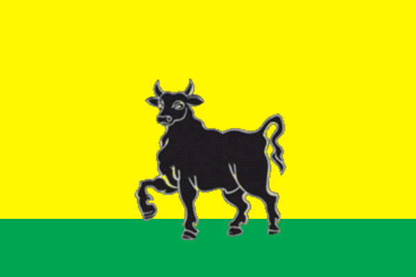 File:Syzran flag.png