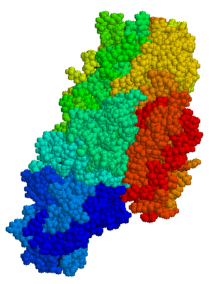 File:Tissue transglutaminase.png