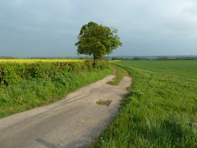 File:Track off, Ribston Road - geograph.org.uk - 2980001.jpg