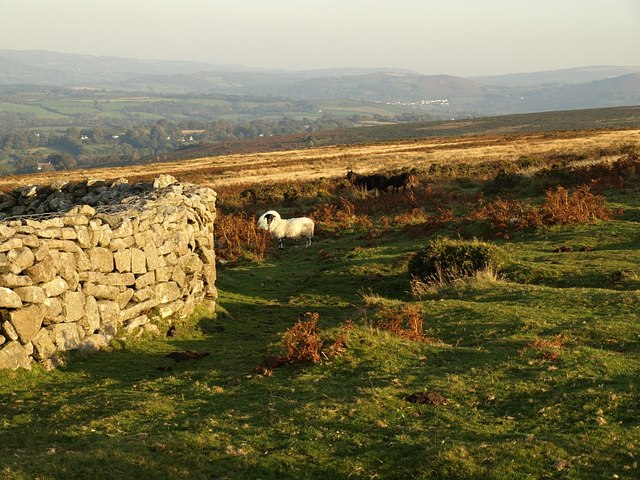 Wall corner on Cosdon Hill - geograph.org.uk - 996872