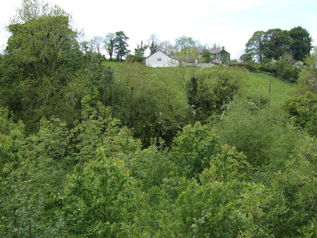 File:Wooded valley west of Cabra Road - geograph.org.uk - 466738.jpg