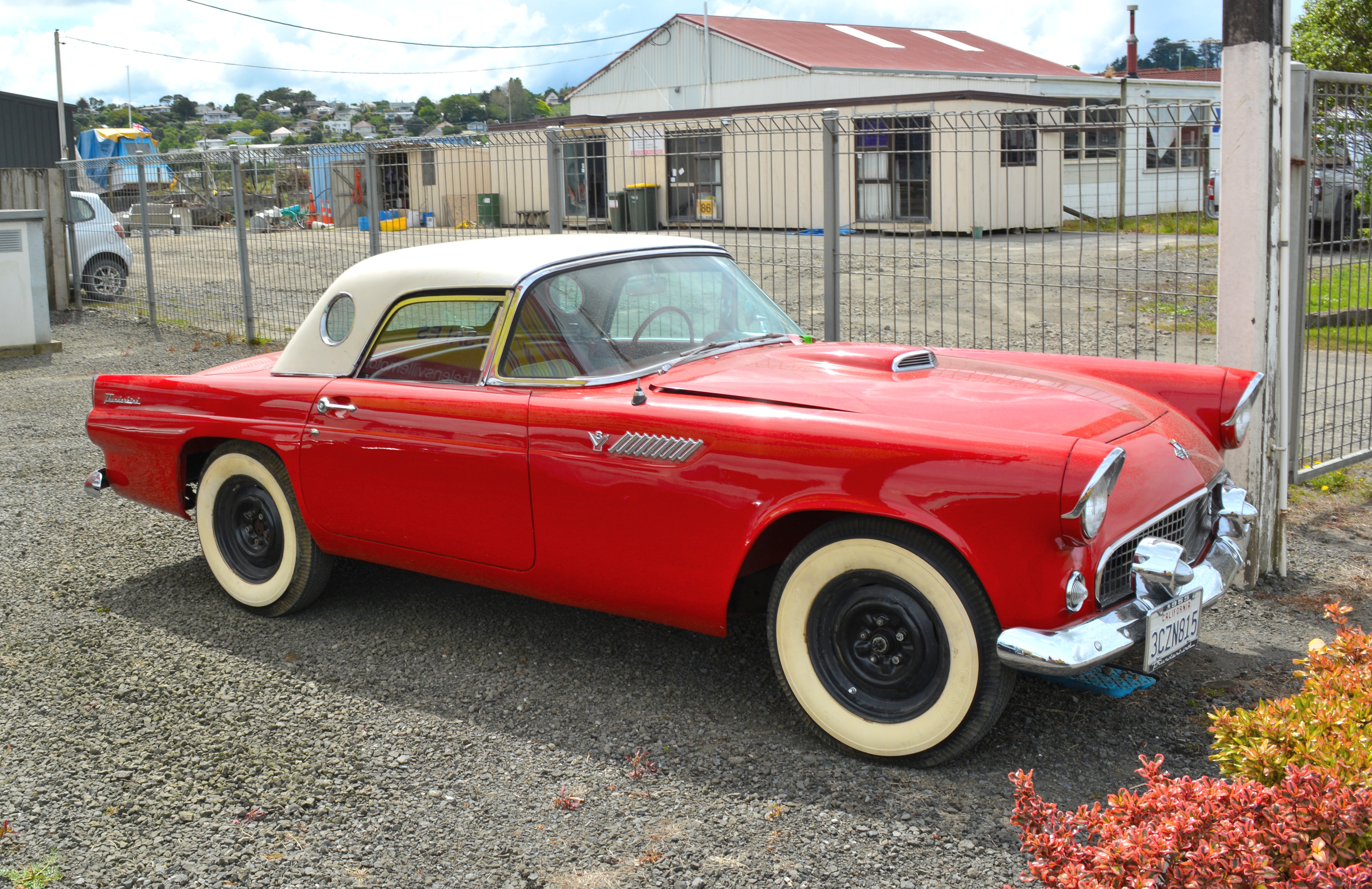 Ford Thunderbird 1955