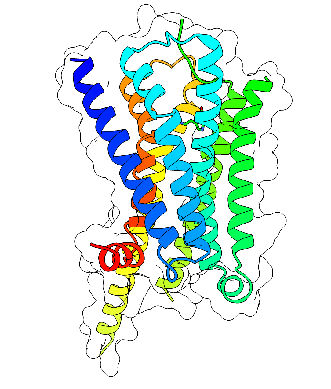 5 Ht1a Receptor Wikipedia