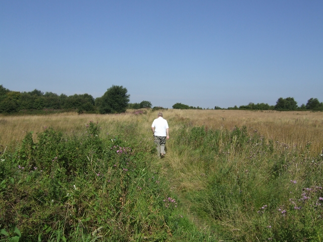 Across the Pelsall Common North Nature Reserve - geograph.org.uk - 516144