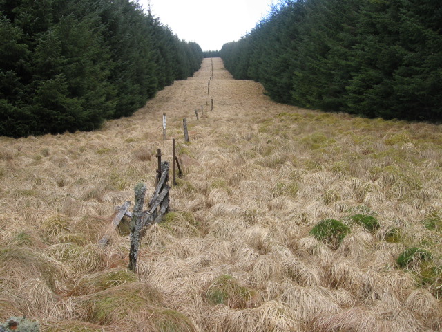 File:Bidhouse Hass - geograph.org.uk - 726815.jpg