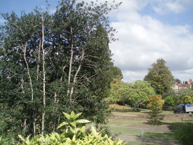 File:Bishops Palace Garden - geograph.org.uk - 1484594.jpg