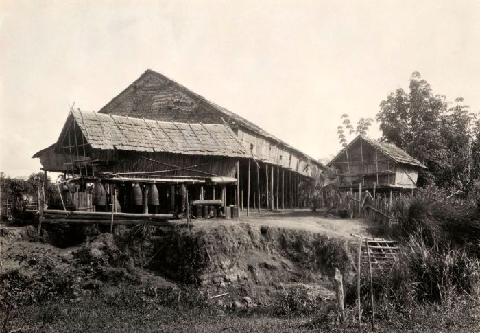 File:COLLECTIE TROPENMUSEUM Gezicht op een Dajak langhuis met rijstschuur en visfuiken TMnr 10020001.jpg