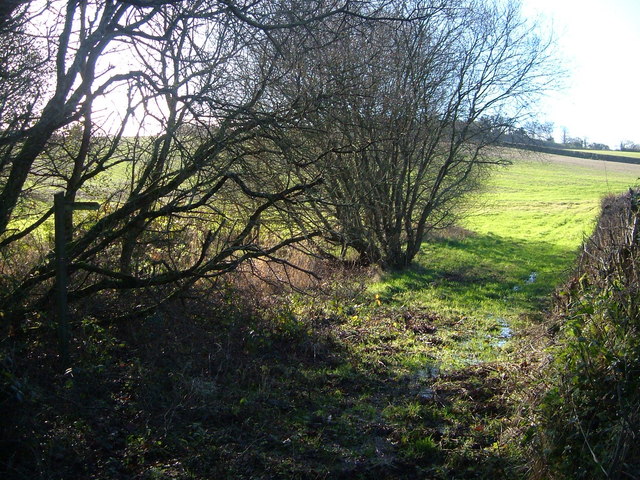 File:Drewsteignton Footpath 5 - geograph.org.uk - 290548.jpg