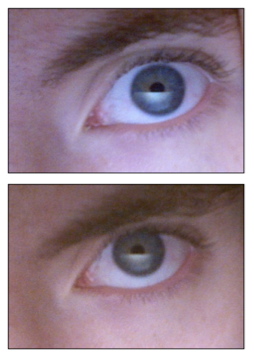 File:Grey-eyes-double.jpg