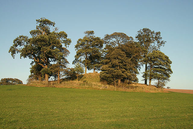 File:Haughhead Kip - geograph.org.uk - 1021394.jpg