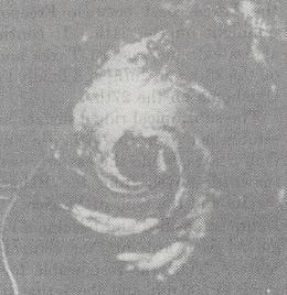 Hurricane Debra (1959) Category 1 Atlantic hurricane in 1959