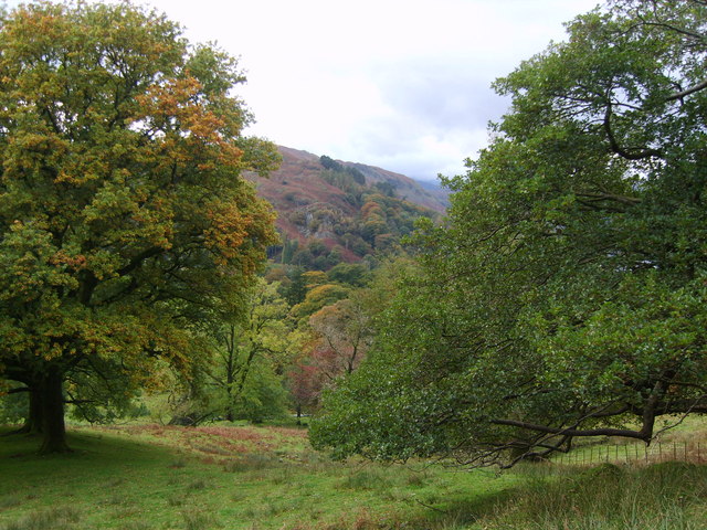 In Rydal Park - geograph.org.uk - 1009187