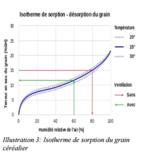 File:Isotherme de sorption du grain céréalier.png