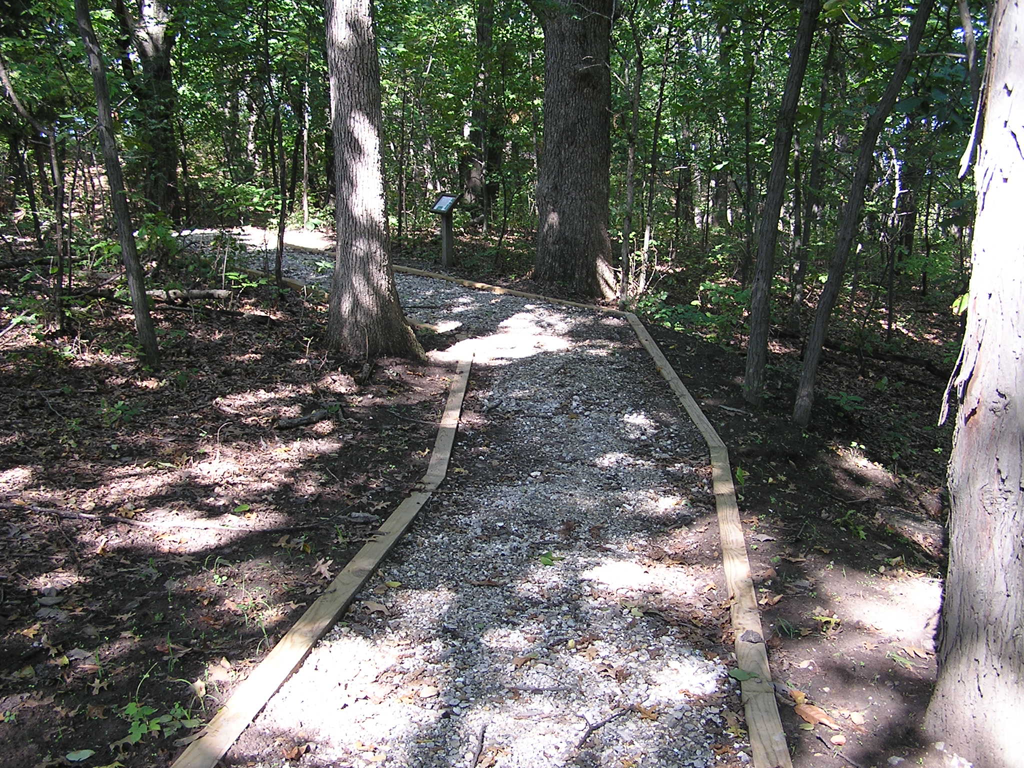 File:Long Branch State Park Trail.jpg - Wikimedia Commons